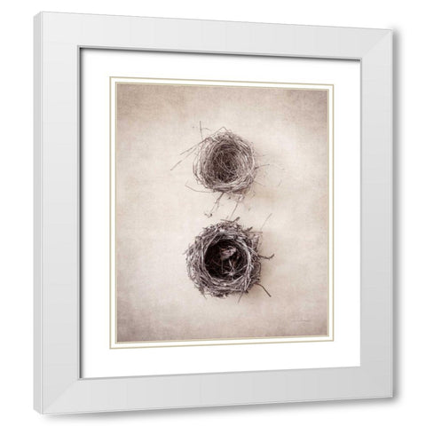 Nest IV White Modern Wood Framed Art Print with Double Matting by Van Swearingen, Debra