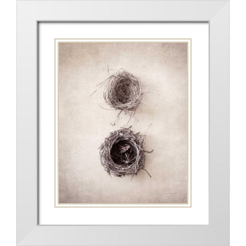 Nest IV White Modern Wood Framed Art Print with Double Matting by Van Swearingen, Debra