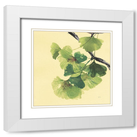 Gingko Leaves II Dark White Modern Wood Framed Art Print with Double Matting by Paschke, Chris