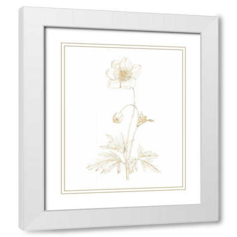 Gilded Botanical II White Modern Wood Framed Art Print with Double Matting by Wild Apple Portfolio