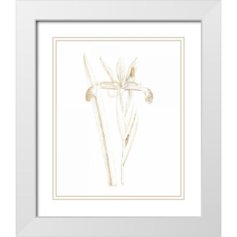 Gilded Botanical III White Modern Wood Framed Art Print with Double Matting by Wild Apple Portfolio