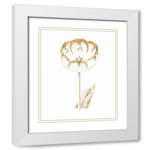 Gilded Botanical V White Modern Wood Framed Art Print with Double Matting by Wild Apple Portfolio