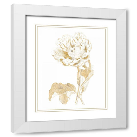 Gilded Botanical VII White Modern Wood Framed Art Print with Double Matting by Wild Apple Portfolio