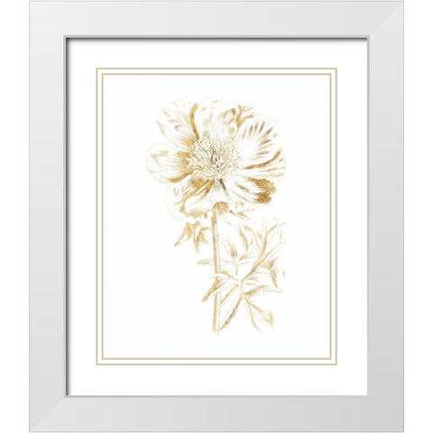 Gilded Botanical VIII White Modern Wood Framed Art Print with Double Matting by Wild Apple Portfolio