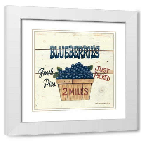 Blueberries Just Picked White Modern Wood Framed Art Print with Double Matting by Brown, David Carter
