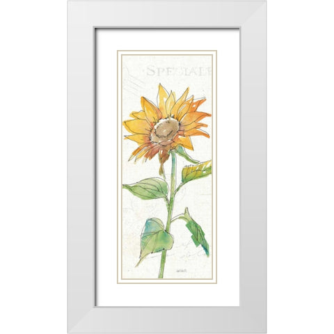 Tuscan Elegance VI White Modern Wood Framed Art Print with Double Matting by Tavoletti, Anne