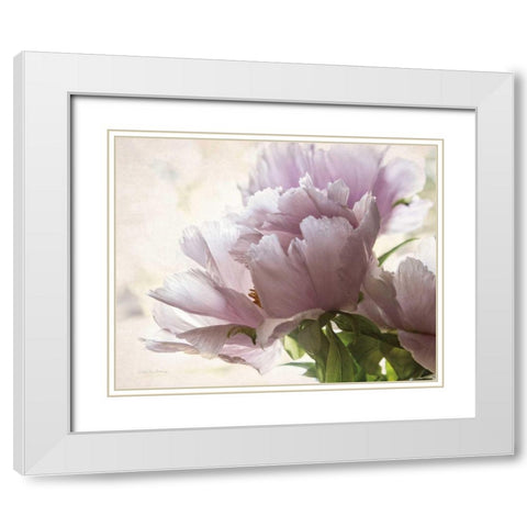 Translucent Peony I White Modern Wood Framed Art Print with Double Matting by Van Swearingen, Debra