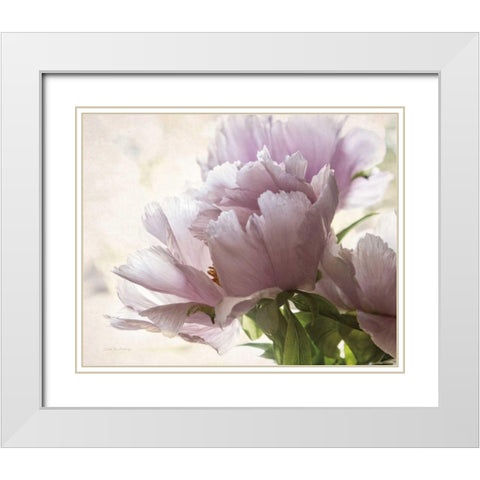 Translucent Peony I White Modern Wood Framed Art Print with Double Matting by Van Swearingen, Debra