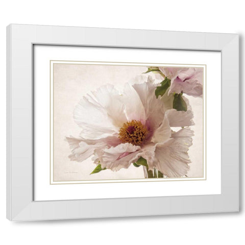 Translucent Peony V White Modern Wood Framed Art Print with Double Matting by Van Swearingen, Debra