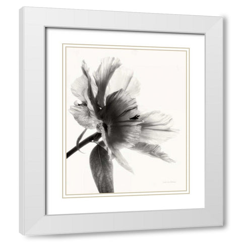Translucent Peony IIBW White Modern Wood Framed Art Print with Double Matting by Van Swearingen, Debra