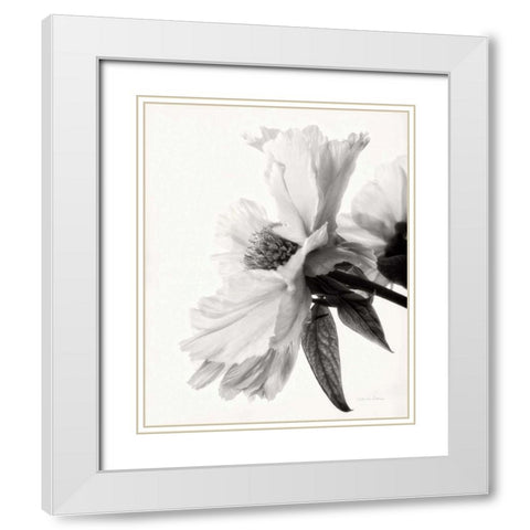 Translucent Peony IVBW White Modern Wood Framed Art Print with Double Matting by Van Swearingen, Debra