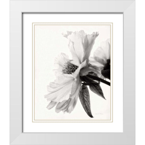 Translucent Peony IVBW White Modern Wood Framed Art Print with Double Matting by Van Swearingen, Debra
