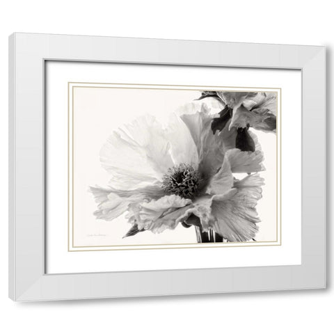 Translucent Peony VBW White Modern Wood Framed Art Print with Double Matting by Van Swearingen, Debra