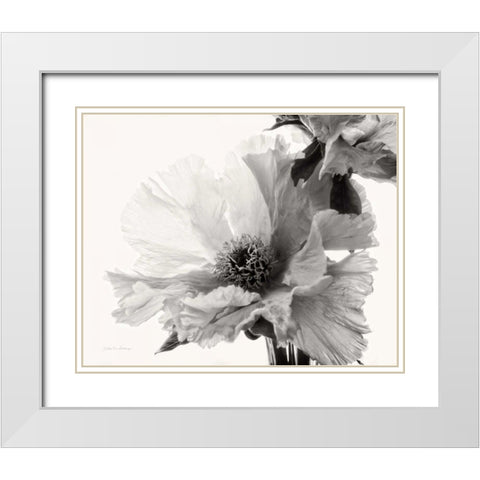 Translucent Peony VBW White Modern Wood Framed Art Print with Double Matting by Van Swearingen, Debra