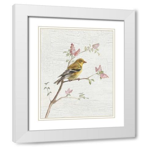 Female Goldfinch Vintage v2 White Modern Wood Framed Art Print with Double Matting by Nai, Danhui