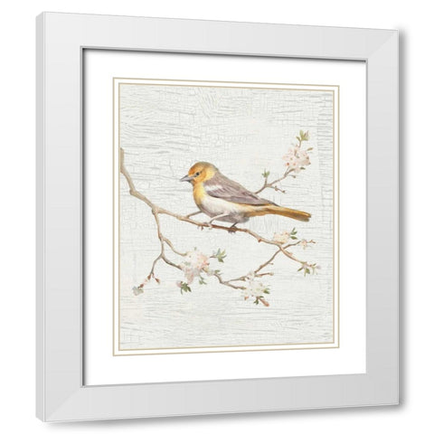 Northern Oriole Vintage v2 White Modern Wood Framed Art Print with Double Matting by Nai, Danhui