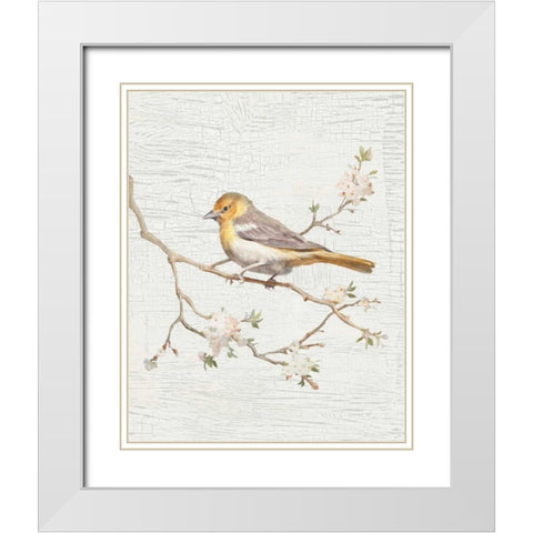 Northern Oriole Vintage v2 White Modern Wood Framed Art Print with Double Matting by Nai, Danhui