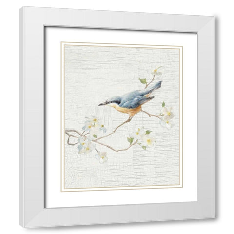 Nuthatch Vintage v2 White Modern Wood Framed Art Print with Double Matting by Nai, Danhui
