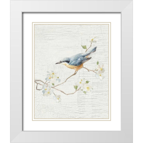 Nuthatch Vintage v2 White Modern Wood Framed Art Print with Double Matting by Nai, Danhui