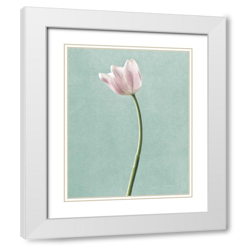 Light Tulips I Harbor Gray White Modern Wood Framed Art Print with Double Matting by Van Swearingen, Debra