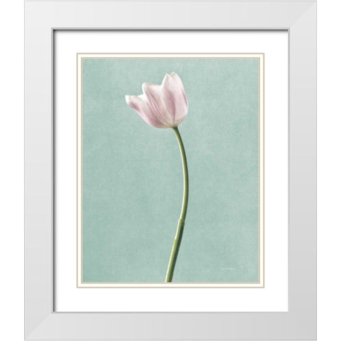 Light Tulips I Harbor Gray White Modern Wood Framed Art Print with Double Matting by Van Swearingen, Debra