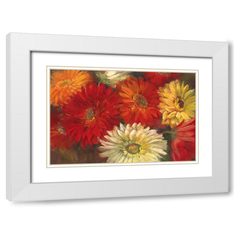 Gerberas White Modern Wood Framed Art Print with Double Matting by Rowan, Carol