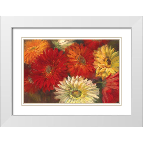 Gerberas White Modern Wood Framed Art Print with Double Matting by Rowan, Carol