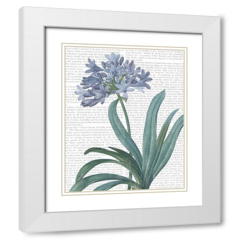 Summer Botanicals I White Modern Wood Framed Art Print with Double Matting by Wild Apple Portfolio