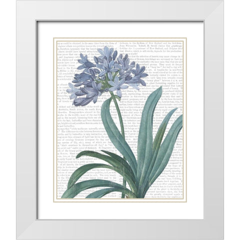 Summer Botanicals I White Modern Wood Framed Art Print with Double Matting by Wild Apple Portfolio