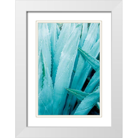 Abstract Agava I Color White Modern Wood Framed Art Print with Double Matting by Urquhart, Elizabeth