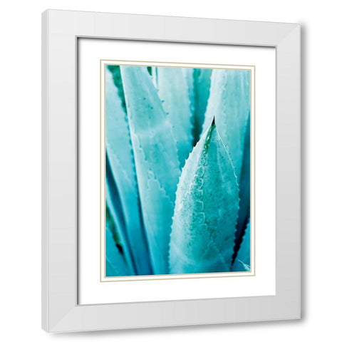Abstract Agava II Color White Modern Wood Framed Art Print with Double Matting by Urquhart, Elizabeth