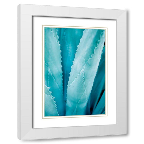 Abstract Agava III Color White Modern Wood Framed Art Print with Double Matting by Urquhart, Elizabeth