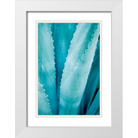 Abstract Agava III Color White Modern Wood Framed Art Print with Double Matting by Urquhart, Elizabeth
