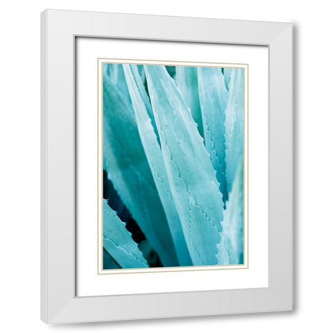 Abstract Agava IV Color White Modern Wood Framed Art Print with Double Matting by Urquhart, Elizabeth