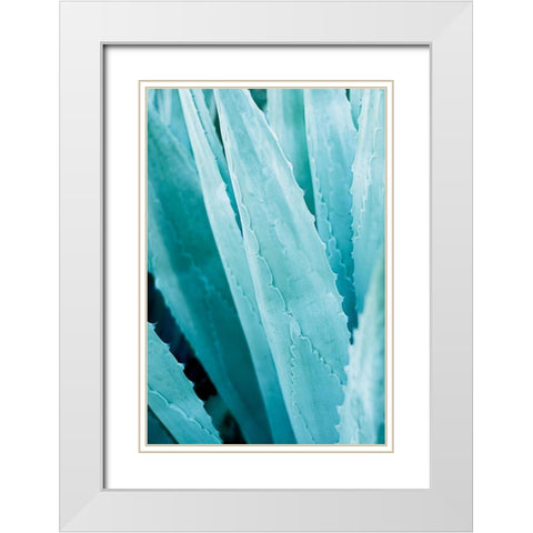 Abstract Agava IV Color White Modern Wood Framed Art Print with Double Matting by Urquhart, Elizabeth