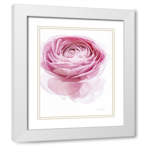 Pink Lady I White Modern Wood Framed Art Print with Double Matting by Urquhart, Elizabeth