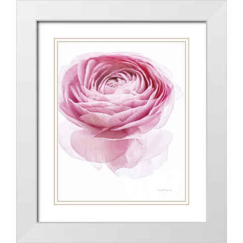 Pink Lady I White Modern Wood Framed Art Print with Double Matting by Urquhart, Elizabeth