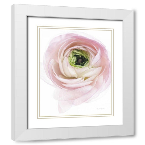 Pink Lady II White Modern Wood Framed Art Print with Double Matting by Urquhart, Elizabeth