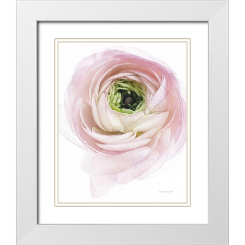 Pink Lady II White Modern Wood Framed Art Print with Double Matting by Urquhart, Elizabeth