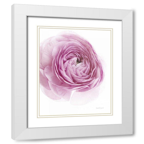 Pink Lady III White Modern Wood Framed Art Print with Double Matting by Urquhart, Elizabeth