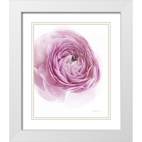 Pink Lady III White Modern Wood Framed Art Print with Double Matting by Urquhart, Elizabeth