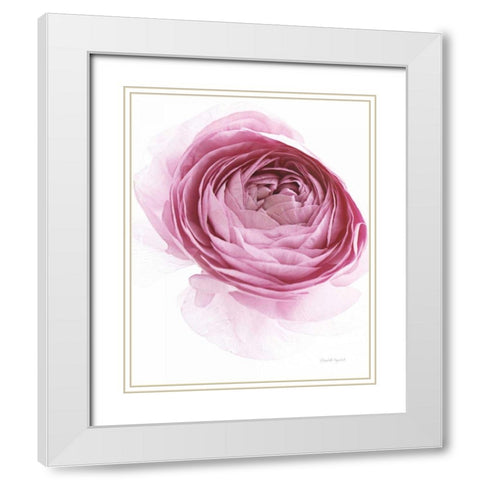 Pink Lady IV White Modern Wood Framed Art Print with Double Matting by Urquhart, Elizabeth