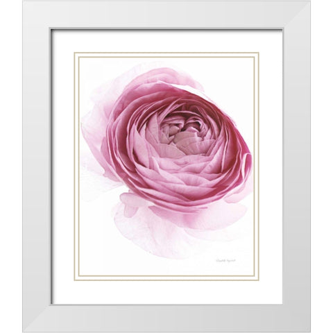 Pink Lady IV White Modern Wood Framed Art Print with Double Matting by Urquhart, Elizabeth