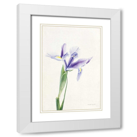 Light and Bright Floral IV White Modern Wood Framed Art Print with Double Matting by Urquhart, Elizabeth