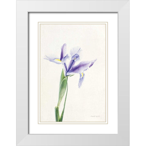 Light and Bright Floral IV White Modern Wood Framed Art Print with Double Matting by Urquhart, Elizabeth