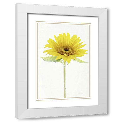 Light and Bright Floral VIII White Modern Wood Framed Art Print with Double Matting by Urquhart, Elizabeth