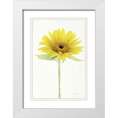 Light and Bright Floral VIII White Modern Wood Framed Art Print with Double Matting by Urquhart, Elizabeth