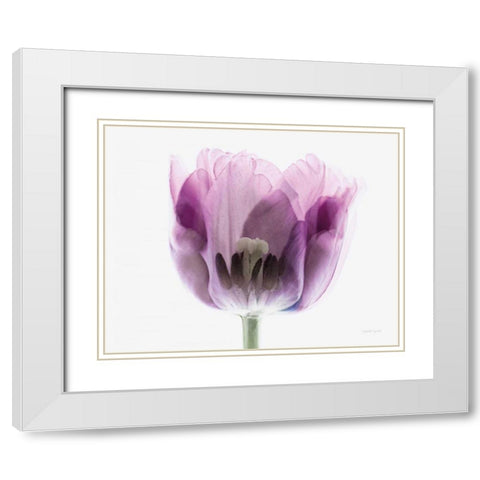 Inside Out II White Modern Wood Framed Art Print with Double Matting by Urquhart, Elizabeth