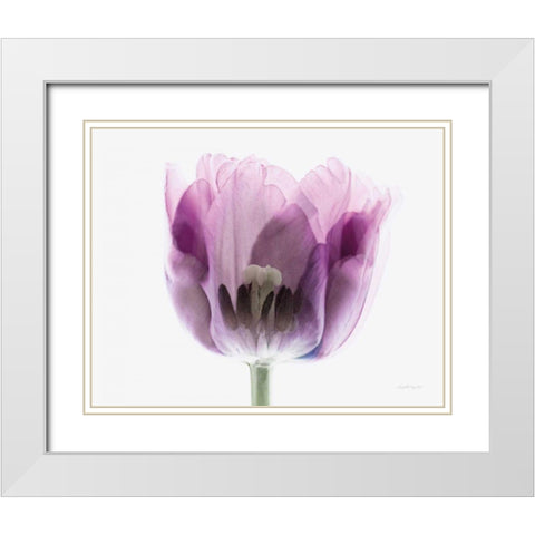 Inside Out II White Modern Wood Framed Art Print with Double Matting by Urquhart, Elizabeth
