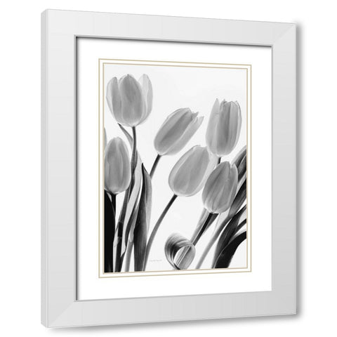 Shadows and Light I White Modern Wood Framed Art Print with Double Matting by Urquhart, Elizabeth